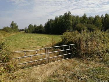 Terrains de loisirs bois etangs a vendre Tuffé-Val-de-la-Chéronne 72160 Sarthe 12980 m2  17640 euros