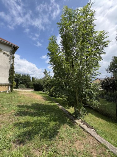 Immeuble a vendre Wadelincourt 08200 Ardennes 127 m2  312000 euros