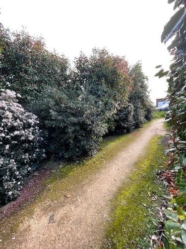 Appartement a vendre Candillargues 34130 Hérault 64 m2 3 pièces 304500 euros
