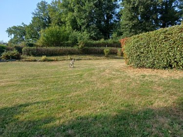 Maison a vendre Burgnac 87800 Haute-Vienne 160 m2 6 pièces 307400 euros