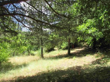Maison a vendre Eygliers 05600 Hautes-Alpes 125 m2 5 pièces 350000 euros