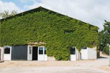 propriete a vendre Baron 71120 Saône-et-Loire  529000 euros