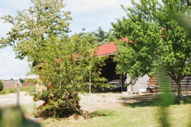 propriete a vendre Baron 71120 Saône-et-Loire  529000 euros