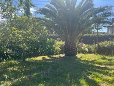 Maison a vendre Plouguerneau 29880 Finistère 75 m2 4 pièces 208400 euros