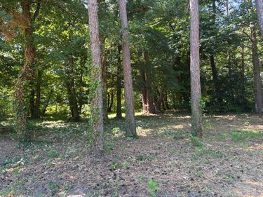 propriete a vendre Rillé 37340 Indre-et-Loire 295 m2 13 pièces 250000 euros