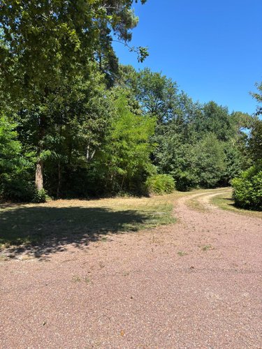 propriete a vendre Rillé 37340 Indre-et-Loire 295 m2 13 pièces 250000 euros