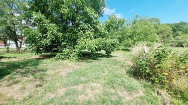 Maison a vendre Culmont 52600 Haute-Marne 170 m2 5 pièces 110000 euros