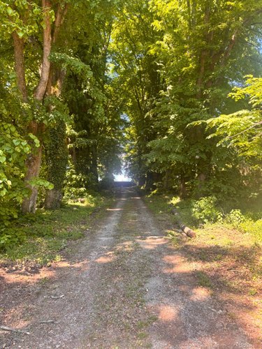 propriete a vendre Yvré-l'Évêque 72530 Sarthe 400 m2 14 pièces 795000 euros