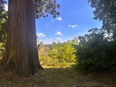 propriete a vendre Yvré-l'Évêque 72530 Sarthe 400 m2 14 pièces 690000 euros