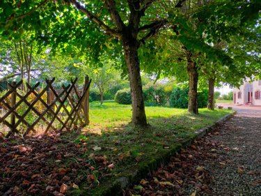 Maison a vendre Villeneuve-les-Genêts 89350 Yonne 229 m2 8 pièces 262000 euros