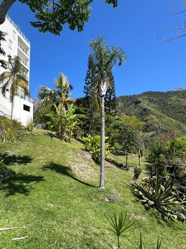 Appartement a vendre Saint-Denis 97400 Réunion 196 m2 4 pièces 780000 euros