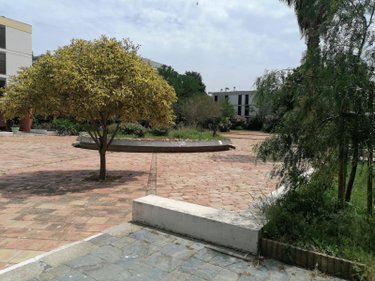 Appartement a vendre Saint-Cyprien 66750 Pyrénées-Orientales 40 m2 2 pièces 123050 euros