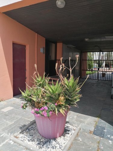 Appartement a vendre Saint-Cyprien 66750 Pyrénées-Orientales 40 m2 2 pièces 123050 euros