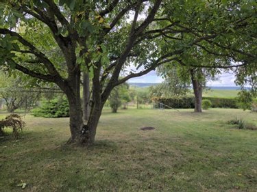 Terrain a batir a vendre Sermiers 51500 Marne 2572 m2  416000 euros