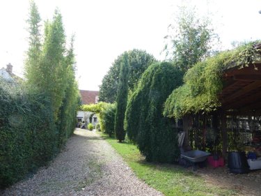Maison a vendre Auxy 45340 Loiret 106 m2 4 pièces 140000 euros
