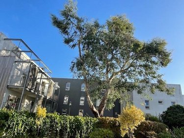 Appartement a vendre Brest 29200 Finistère 91 m2 7 pièces 334400 euros