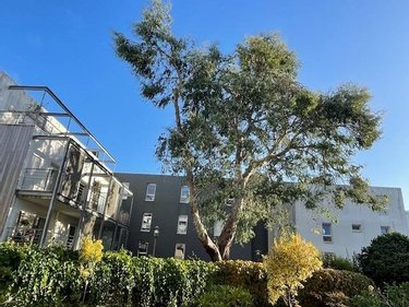 Appartement a vendre Brest 29200 Finistère 91 m2 7 pièces 375600 euros