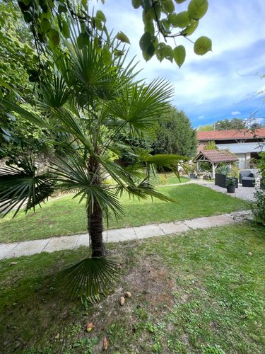 Maison a vendre Trannes 10140 Aube 181 m2 6 pièces 209000 euros