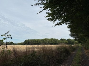 Maison a vendre Avezé 72400 Sarthe 120 m2 7 pièces 330750 euros