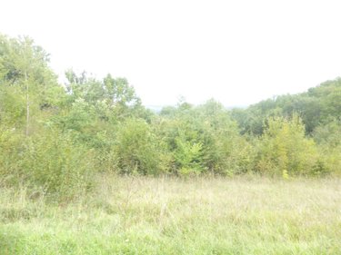 Maison a vendre Gensac-de-Boulogne 31350 Haute-Garonne 220 m2 6 pièces 254400 euros