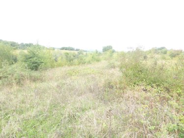 Maison a vendre Gensac-de-Boulogne 31350 Haute-Garonne 220 m2 6 pièces 254400 euros