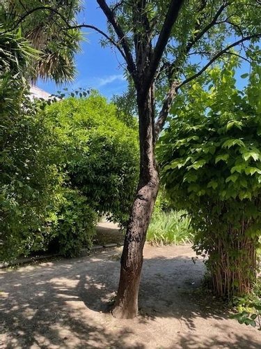 Maison a vendre Montpellier 34000 Hérault 85 m2 4 pièces 441000 euros