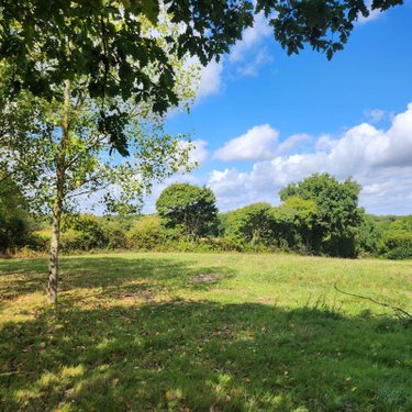 Maison a vendre Ruffigné 44660 Loire-Atlantique 120 m2 8 pièces 214225 euros