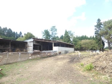 Bien agricole a vendre Bazordan 65670 Hautes-Pyrénées 120 m2  371000 euros