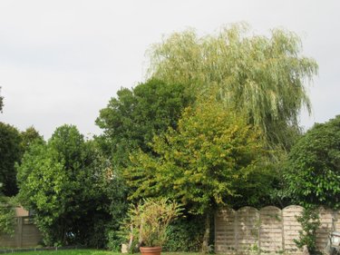 Maison a vendre Bruz 35170 Ille-et-Vilaine 171 m2 7 pièces 540000 euros