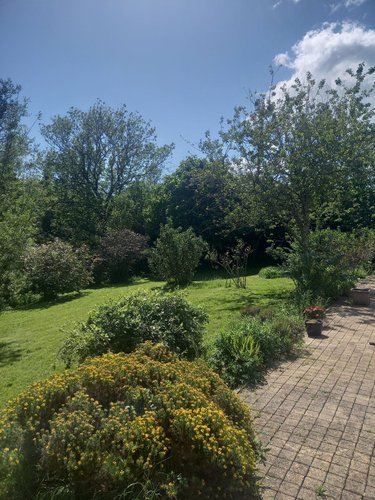 Maison a vendre Loperhet 29470 Finistère 180 m2 6 pièces 434100 euros