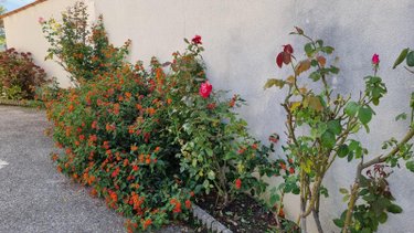 Maison a vendre Jonzac 17500 Charente-Maritime 138 m2 6 pièces 141750 euros