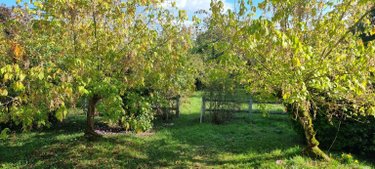 Maison a vendre Monnaie 37380 Indre-et-Loire 71 m2 3 pièces 168000 euros