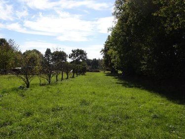 Maison a vendre Baillé 35460 Ille-et-Vilaine 27 m2 1 pièce 52870 euros