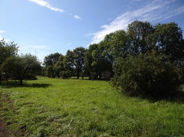 Maison a vendre Baillé 35460 Ille-et-Vilaine 27 m2 1 pièce 52870 euros