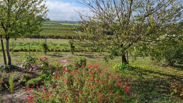 Maison a vendre Archiac 17520 Charente-Maritime 170 m2 6 pièces 204750 euros