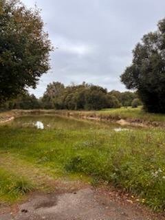 Maison a vendre Mernel 35330 Ille-et-Vilaine 58 m2 3 pièces 125840 euros