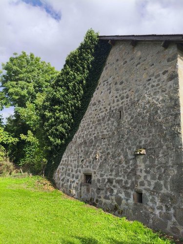 Bien agricole a vendre Saint-Julien-près-Bort 19110 Corrèze  42400 euros