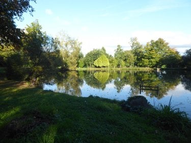 Terrains de loisirs bois etangs a vendre Meillac 35270 Ille-et-Vilaine 1 m2  59888 euros