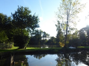 Terrains de loisirs bois etangs a vendre Meillac 35270 Ille-et-Vilaine 1 m2  59888 euros
