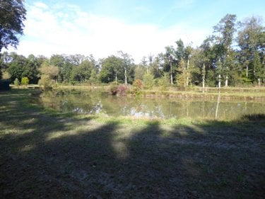 Terrains de loisirs bois etangs a vendre Dingé 35440 Ille-et-Vilaine 1 m2  85040 euros