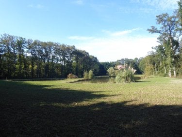 Terrains de loisirs bois etangs a vendre Dingé 35440 Ille-et-Vilaine 1 m2  85040 euros