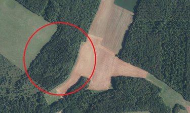 Terrains de loisirs bois etangs a vendre Leffond 70600 Haute-Saône 83000 m2  30500 euros