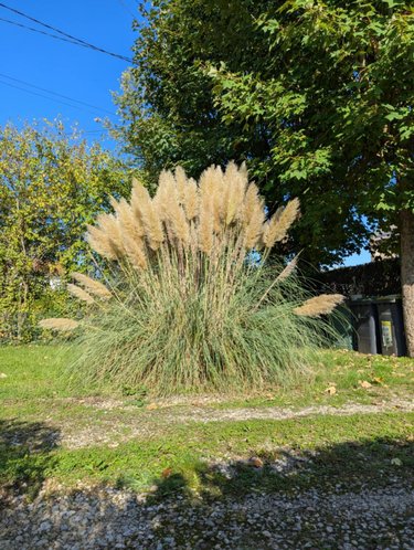 Maison a vendre Sedan 08200 Ardennes 110 m2 5 pièces 177800 euros
