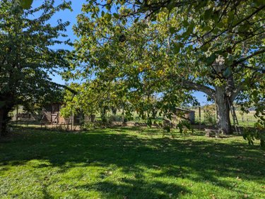 Maison a vendre Larçay 37270 Indre-et-Loire 235 m2 10 pièces 473200 euros