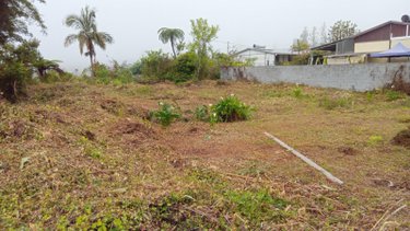 Terrain a batir a vendre La Plaine-des-Palmistes 97431 Réunion 480 m2  77000 euros