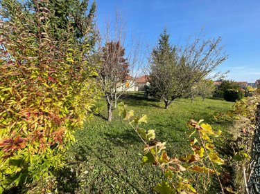 Viager maison Brienne-le-Château 10500 Aube 100 m2 4 pièces 40000 euros