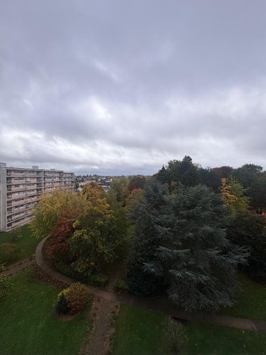 Location appartement Le Mans 72000 Sarthe 79 m2 4 pièces 930 euros