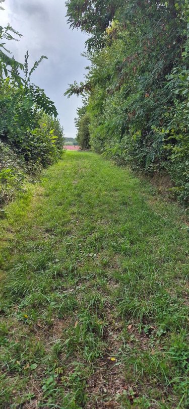 Terrain a batir a vendre Lamnay 72320 Sarthe 9994 m2  53100 euros