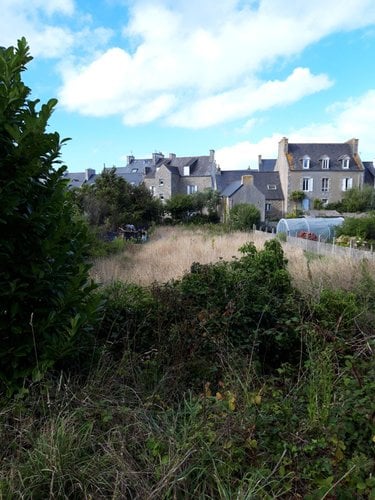 Terrain a batir a vendre Roscoff 29680 Finistère 1303 m2  232000 euros