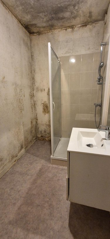 Immeuble a vendre La-Ferté-Bernard 72400 Sarthe 180 m2  179400 euros